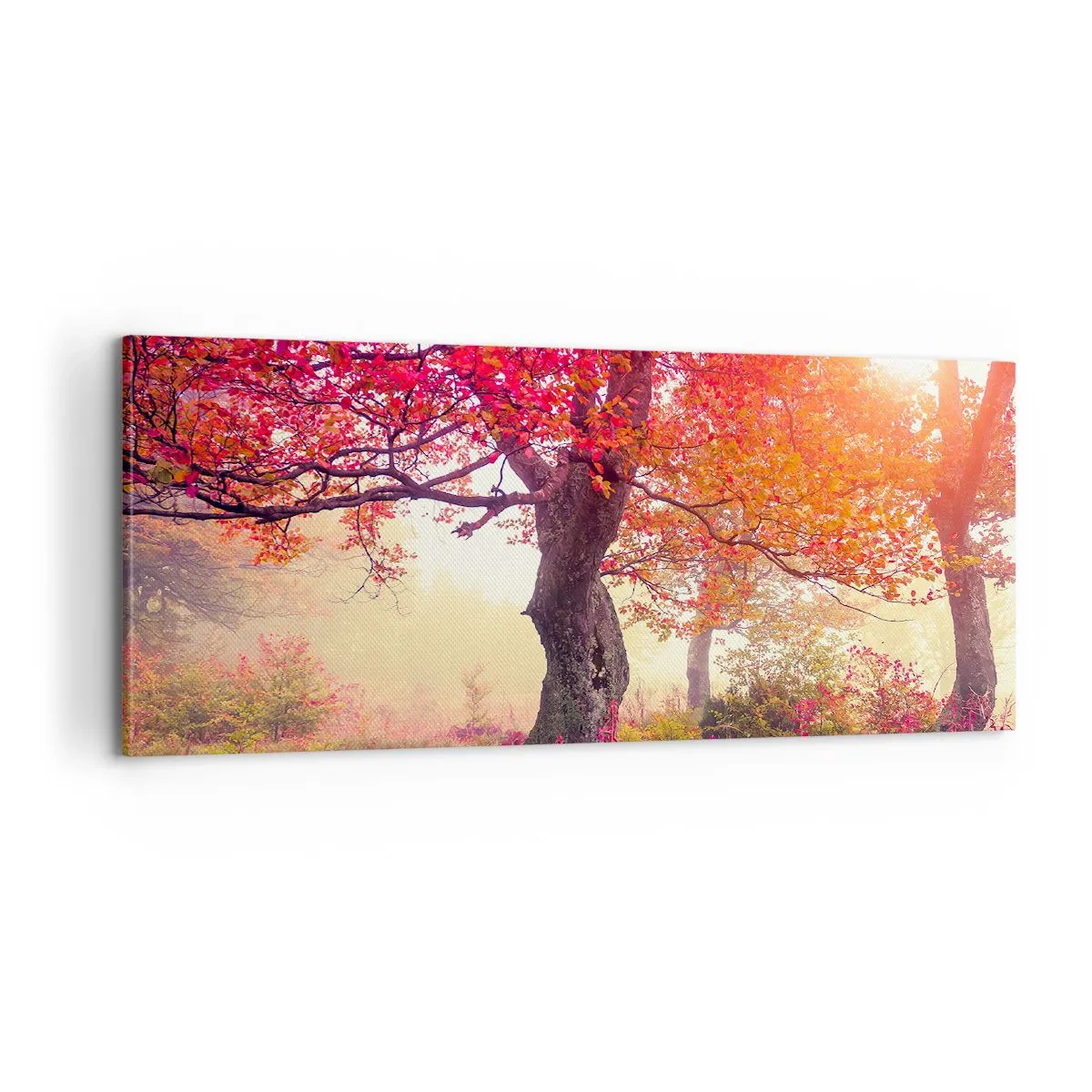 Obraz na plátne - Šialenstvo rozkvetu - 100x40 cm