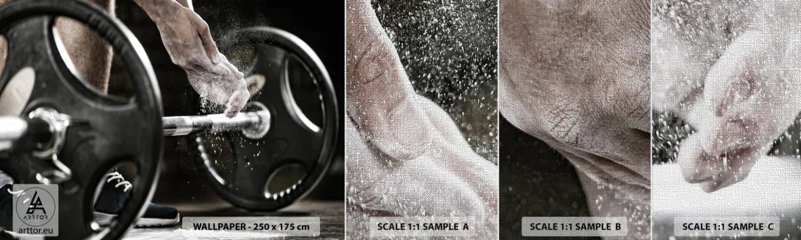 Vzorka fototapety Premium Canvas - Výzva prijatá! - Šport, telocvičňa, Zdvíhať závažia - 100x30 cm