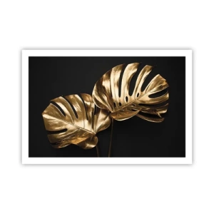 Plagát - Poklady prírody - 91x61 cm