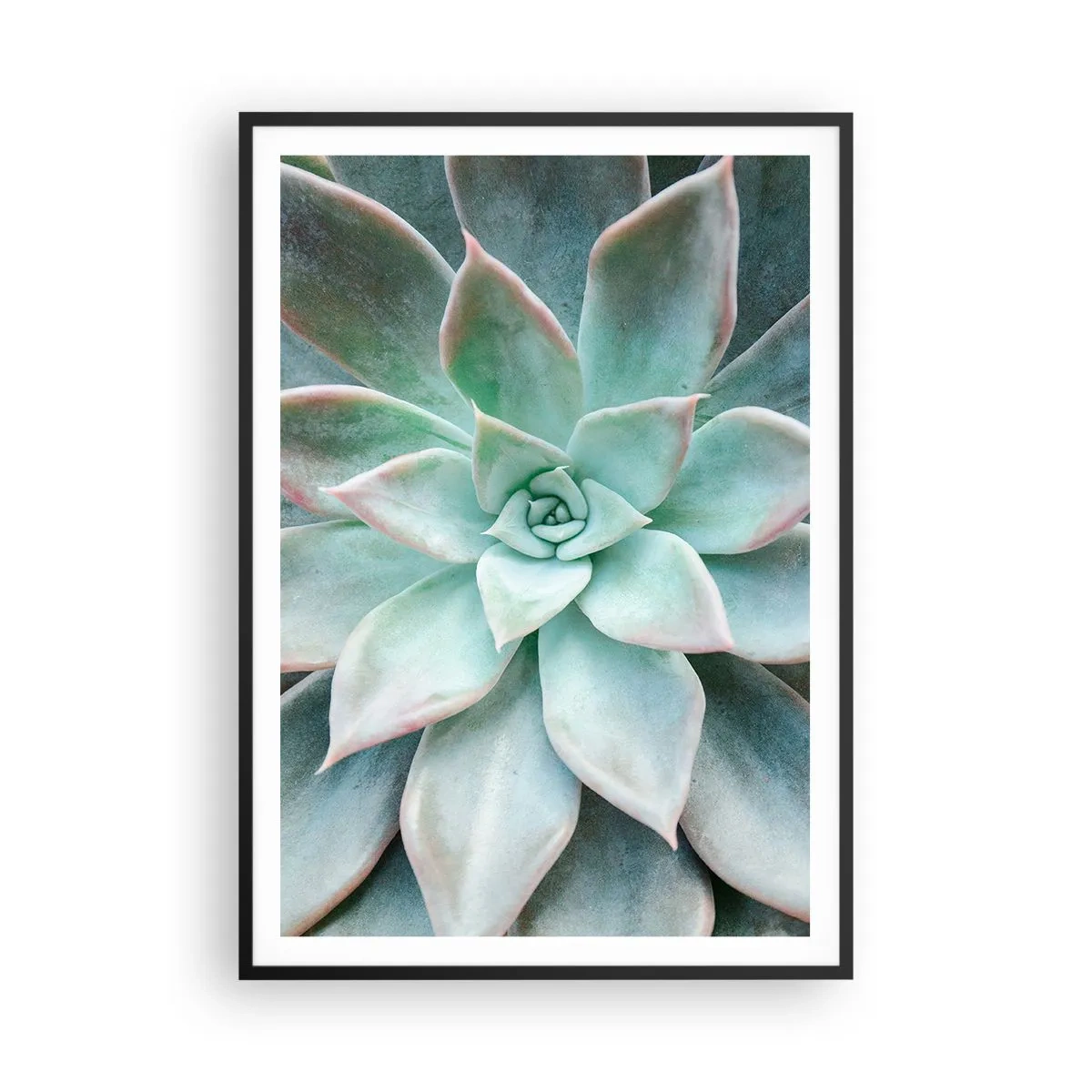 Plagát v čiernom ráme - Srdce púšte - 70x100 cm