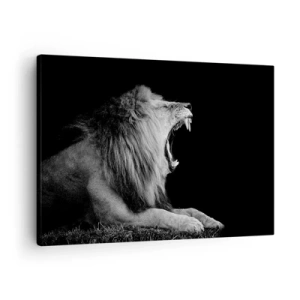 Obraz na plátne - Revúci lev na čiernom pozadí v čiernobielych tónoch - 70x50cm - Bez najmenších pochýb - Moderná nástenná dekorácia do obývacej izby a spálne ARTTOR
