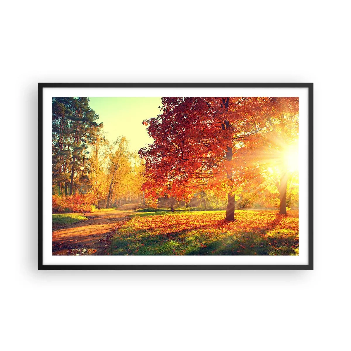 Plagát v čiernom ráme - Červené je krásne - 91x61 cm