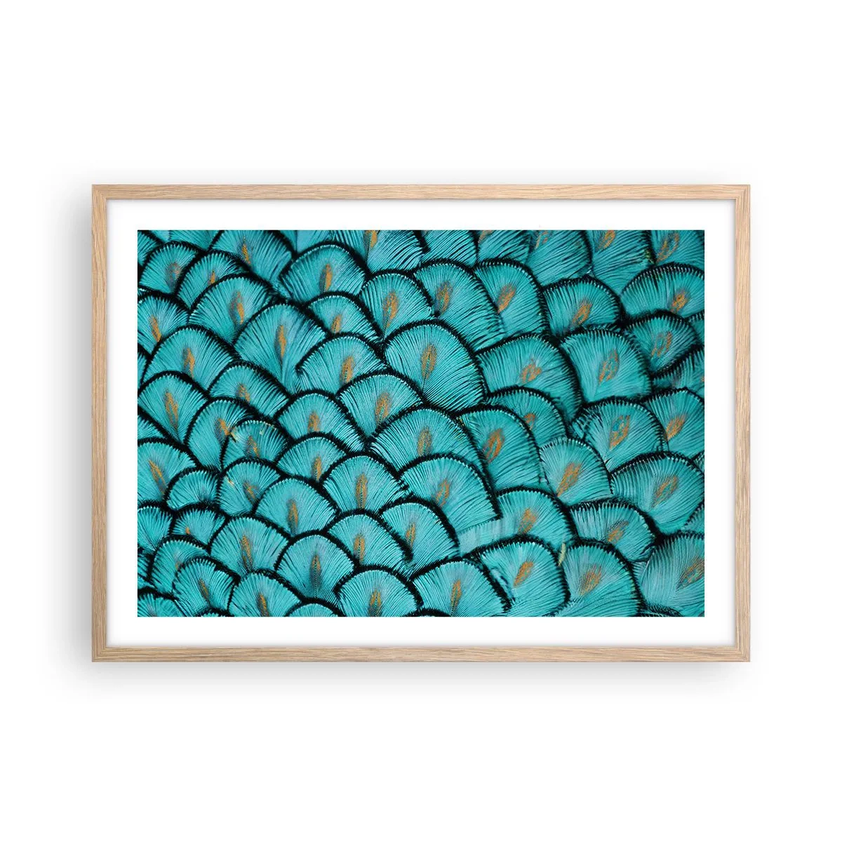 Plagát v ráme zo svetlého duba - Veľká slávnosť peria - 70x50 cm