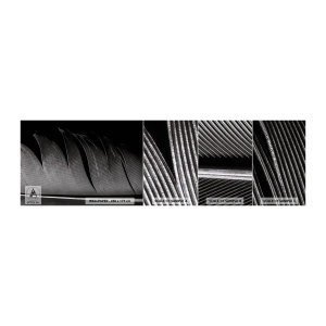 Vzorka Fototapeta Standard Eco - Perie – nádherná konštrukcia - Pero, Minimalizmus, Ľahkosť - 100x30 cm