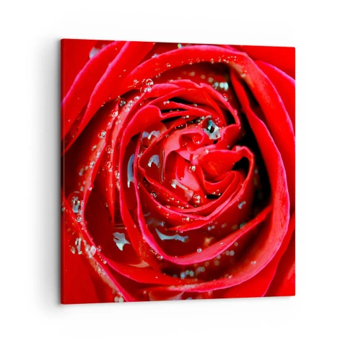 Obraz na plátne - V kvapkách rosy - 50x50 cm