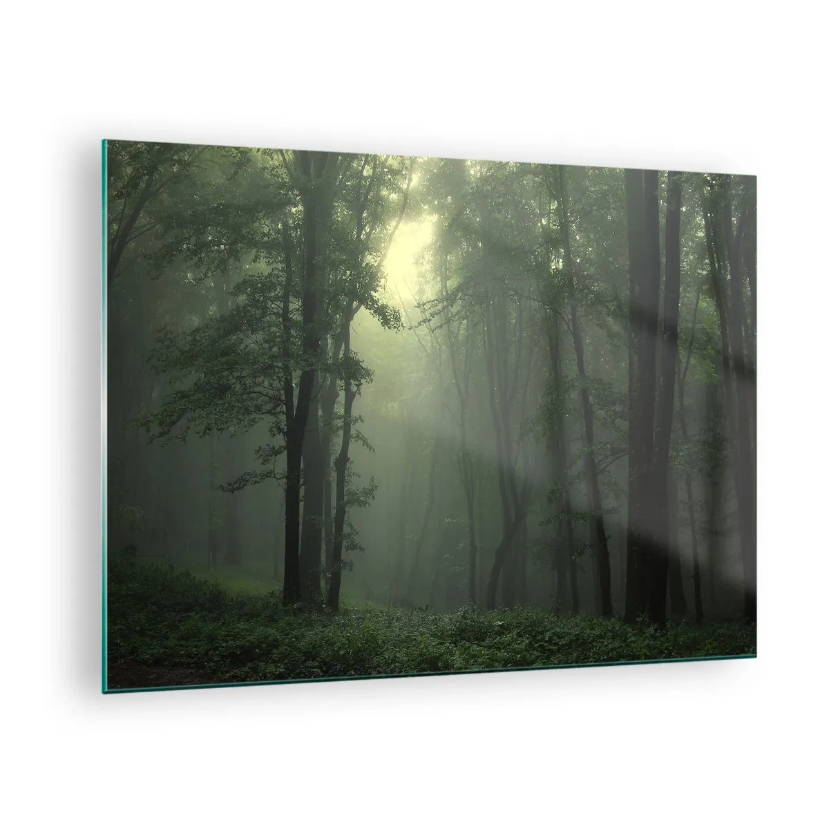 Obraz na skle - Tmavý les zahalený v hmle s lúčmi svetla - 70x50cm - Než sa prebudí - Moderná nástenná dekorácia do obývacej izby a spálne ARTTOR