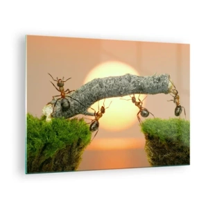 Obraz na skle - Mravce stavajú most pri západe slnka - 70x50cm - Radostná, spoločná práca - Moderná nástenná dekorácia do obývacej izby a spálne ARTTOR
