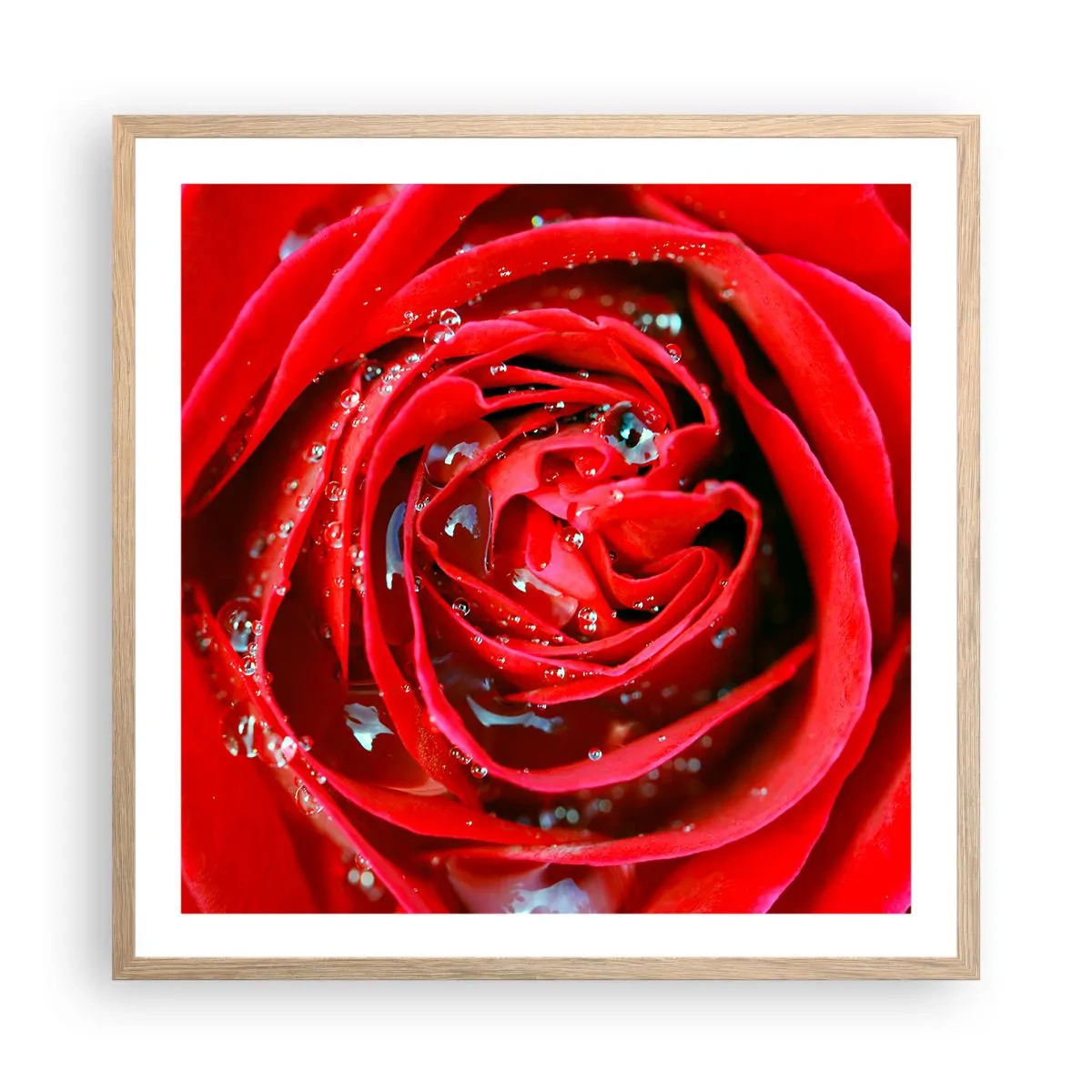 Plagát v ráme zo svetlého duba - V kvapkách rosy - 60x60 cm