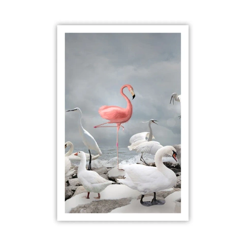 Plagát - Kde som sa tu vzal? - 61x91 cm