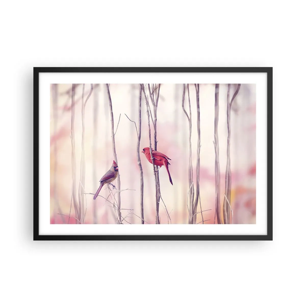 Plagát v čiernom ráme - Príbeh ružového lesa - 70x50 cm