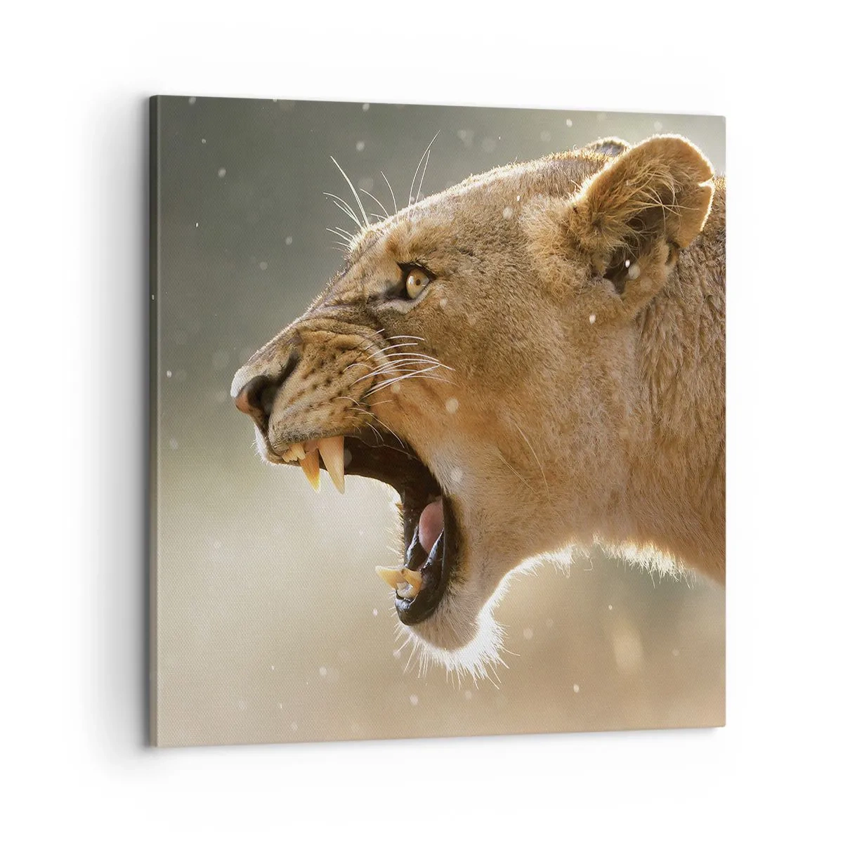 Obraz na plátne - Snaž sa nepočúvať - 60x60 cm