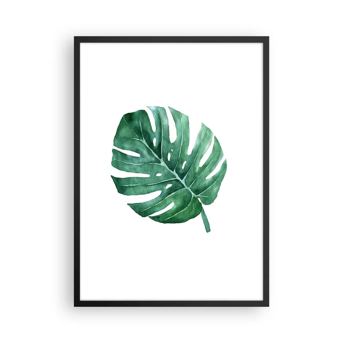 Plagát v čiernom ráme - Akvarelová ilustrácia listu monstery na bielom pozadí - 50x70cm - Zelený koncept - Moderná nástenná dekorácia do obývacej izby a spálne ARTTOR