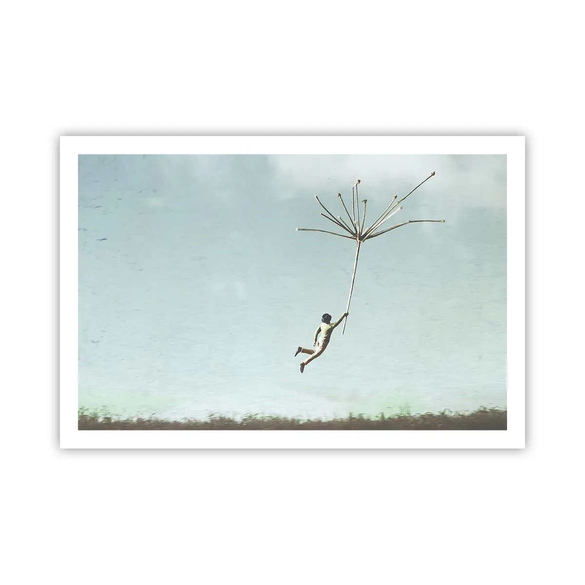 Plagát - Lietajúca púpava - 91x61 cm