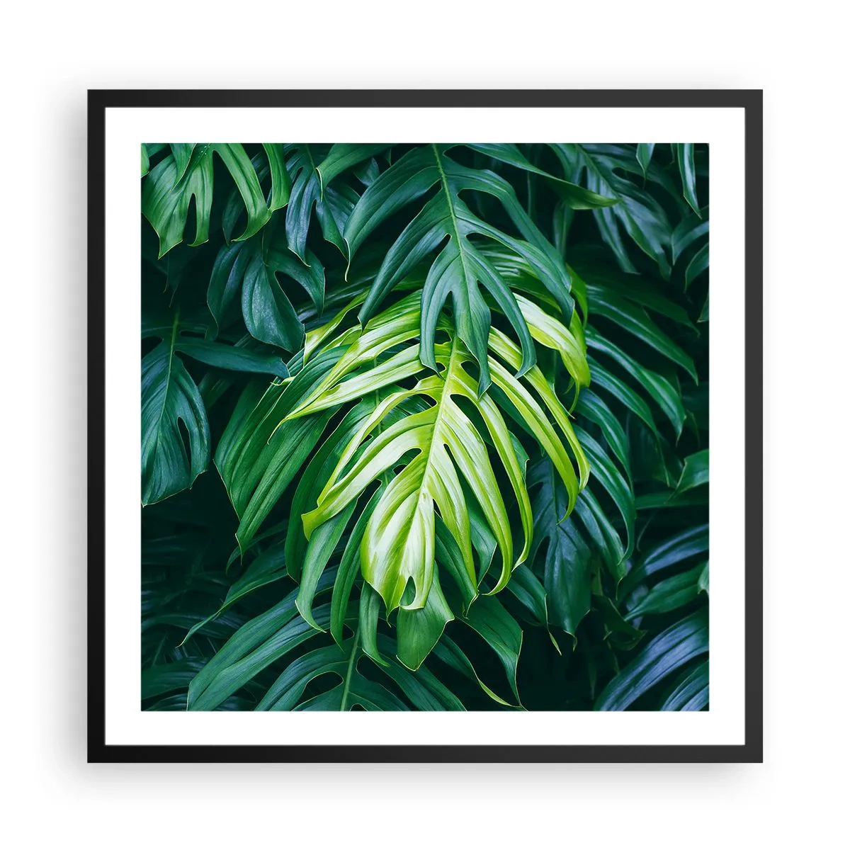 Plagát v čiernom ráme - Ponoriť sa do sviežosti - 60x60 cm