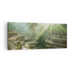 Obraz na plátne - Vyrastať na slnku - 120x50 cm