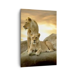 Obraz na plátne - Kráľovský majestát - 70x100 cm