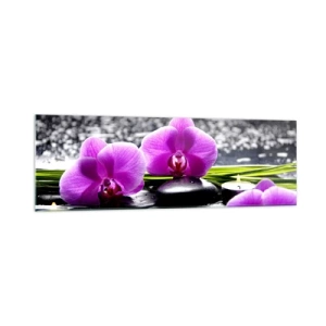 Obraz na skle - Utopiť v tichu a pokoji - 160x50 cm