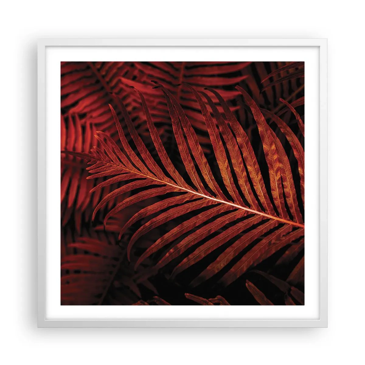 Plagát v bielom ráme - Žiar života - 60x60 cm