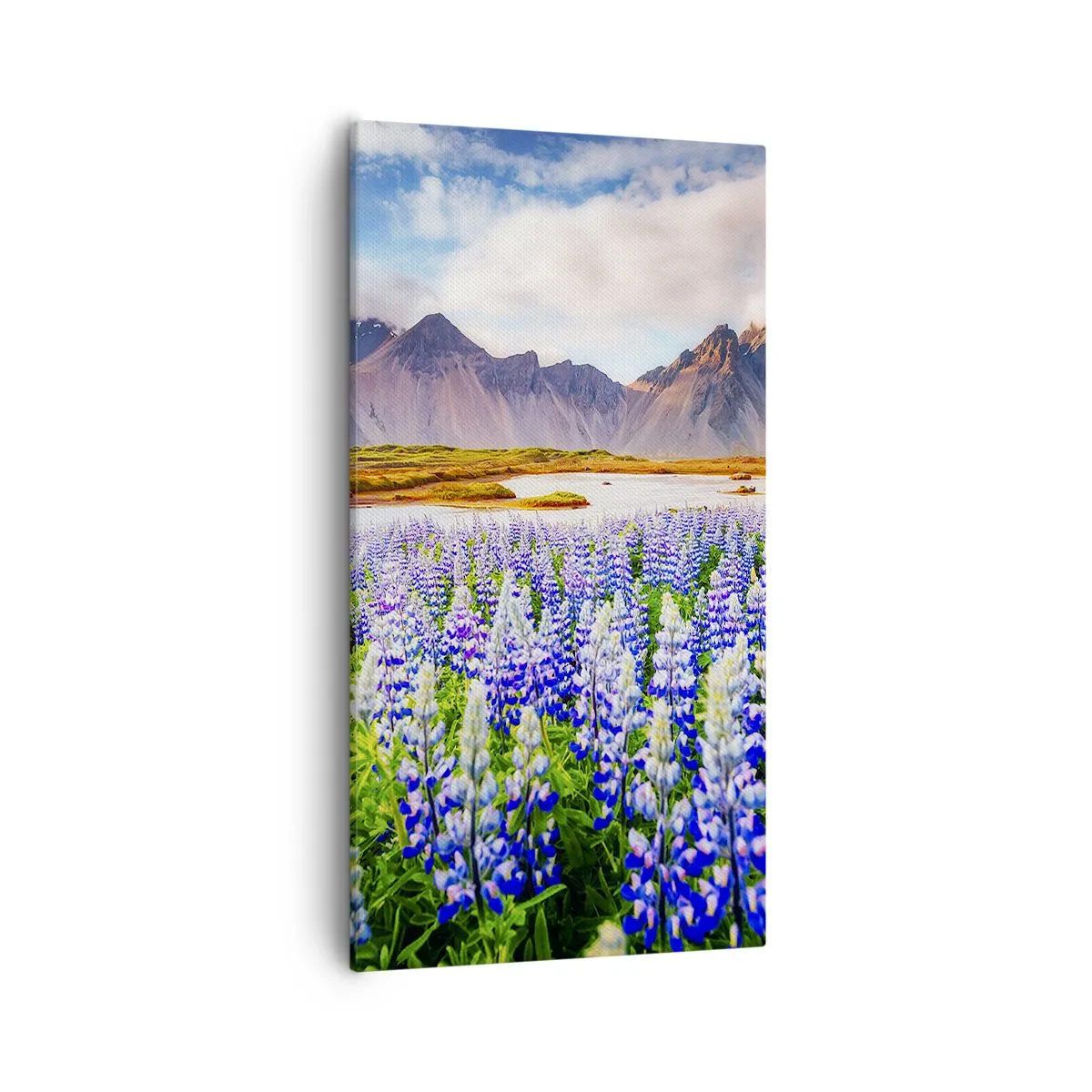 Obraz na plátne - Sila a prísnosť vedľa miernosti - 55x100 cm