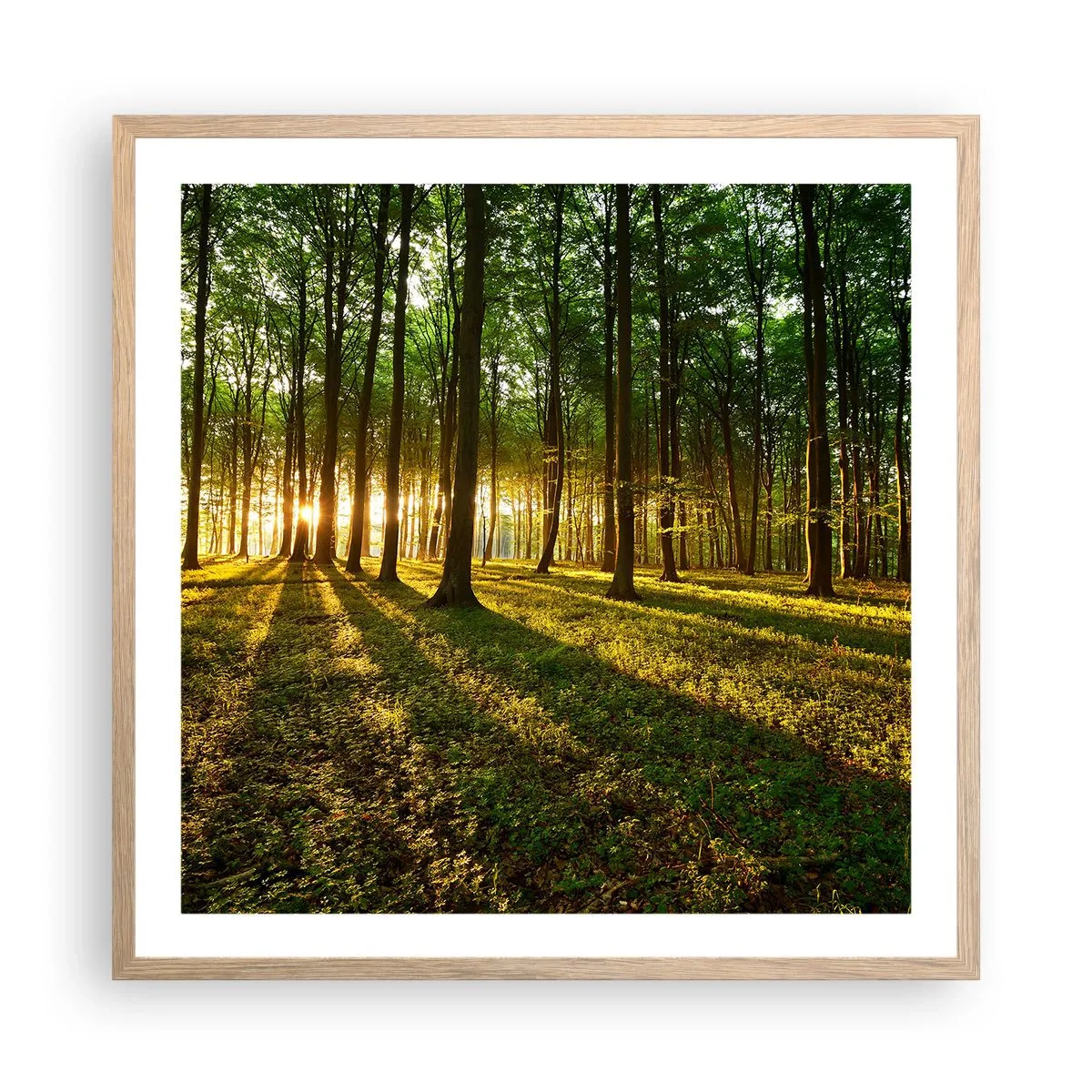 Plagát v ráme zo svetlého duba - Fotografie všetkých jarí - 60x60 cm