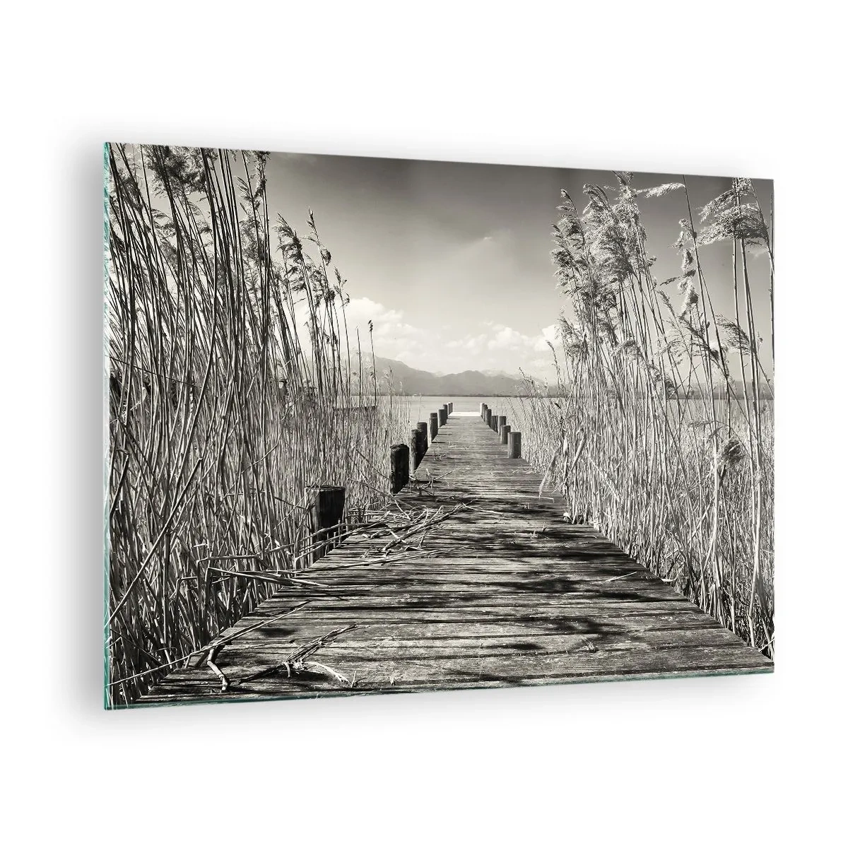 Obraz na skle - Drevený most vedie cez trávu ponad pokojné jazero. - 70x50cm - V ústraní tráv - Moderná nástenná dekorácia do obývacej izby a spálne ARTTOR