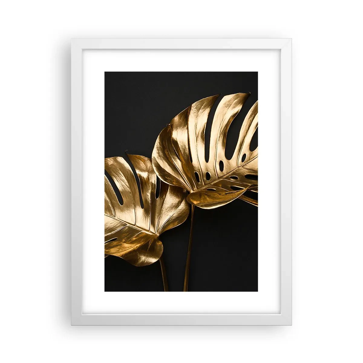 Plagát v bielom ráme - Poklady prírody - 30x40 cm