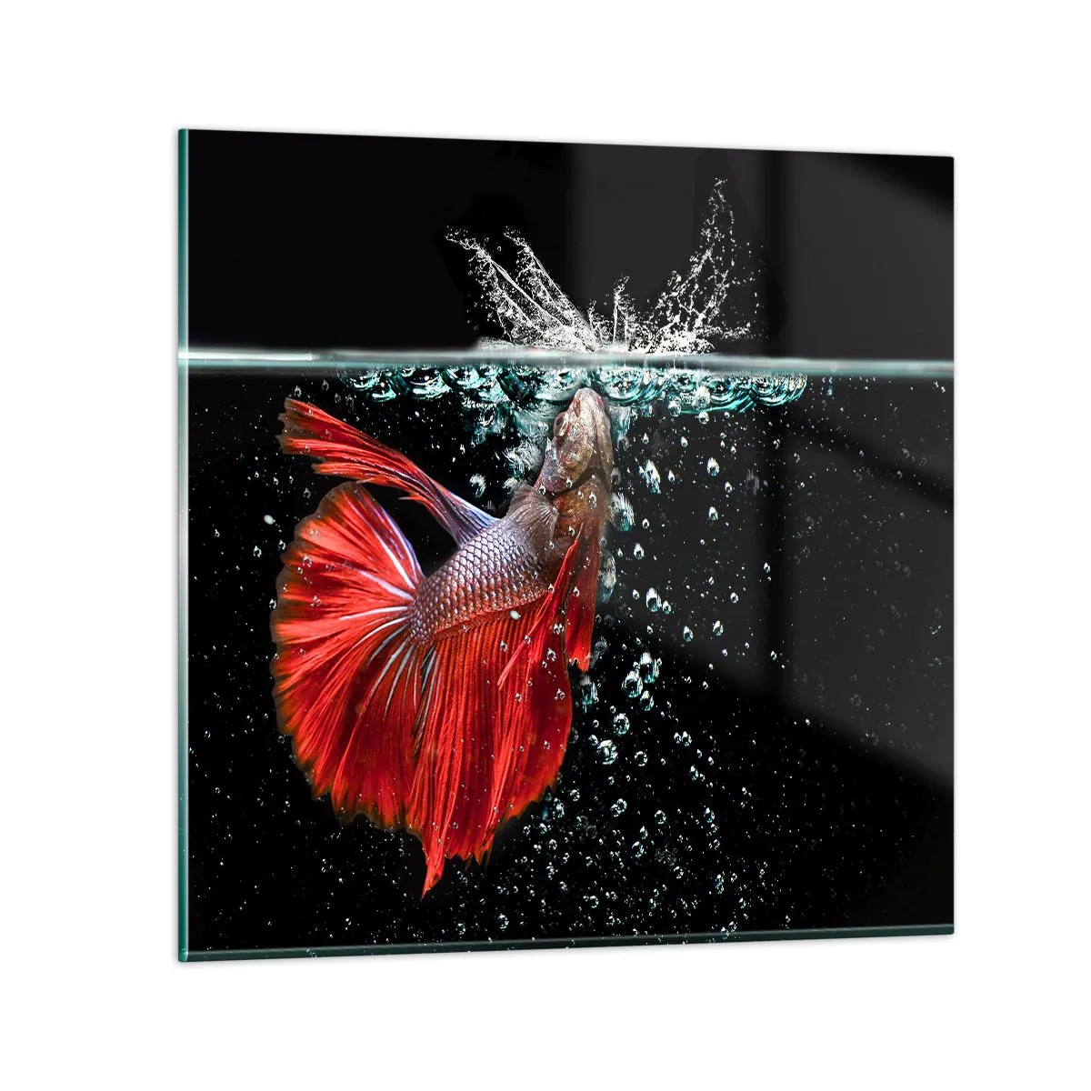 Obraz na skle - Máš tri priania - 50x50 cm