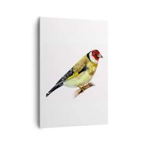 Obraz na plátne - Vtáčí portrét - 70x100 cm
