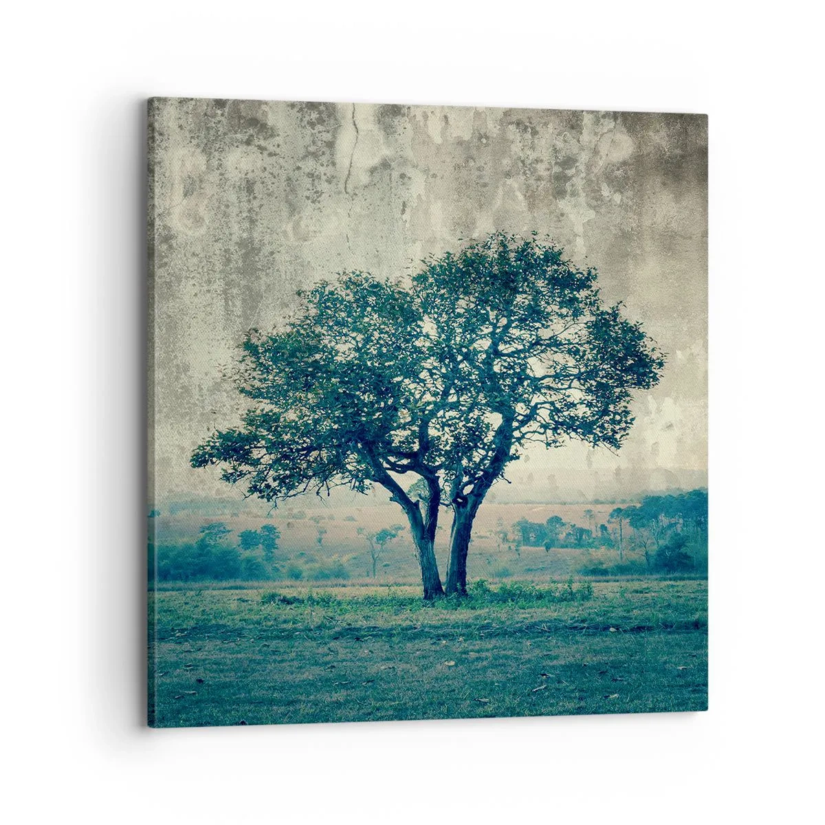 Obraz na plátne - Jabloň na modrom poli? - 70x70 cm