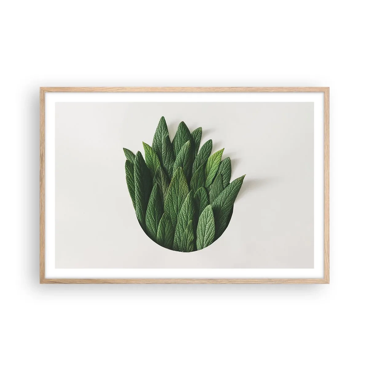 Plagát v ráme zo svetlého duba - Neukojiteľná zvedavosť - 91x61 cm