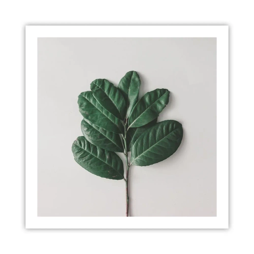 Plagát - Kresba samotnej prírody - 60x60 cm