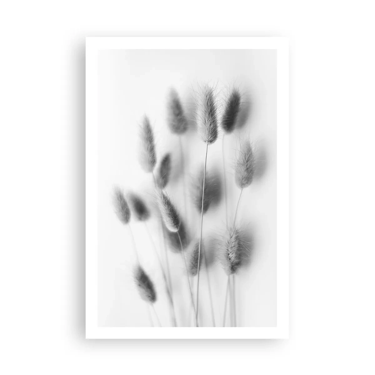Plagát - Našuchorená tráva - 61x91 cm