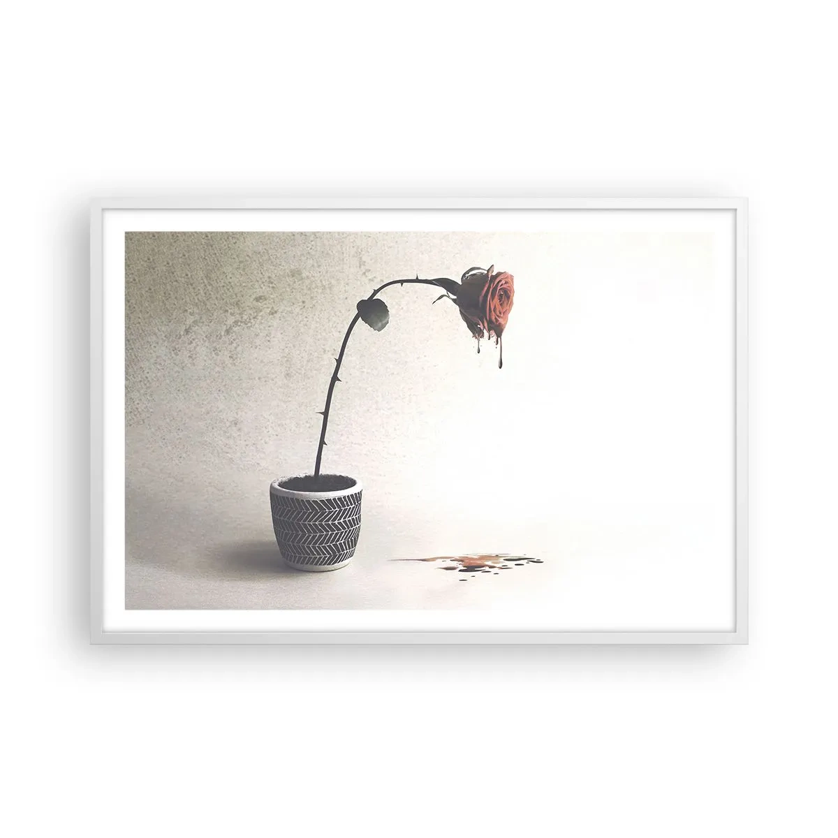 Plagát v bielom ráme - Rosa dolorosa - 91x61 cm