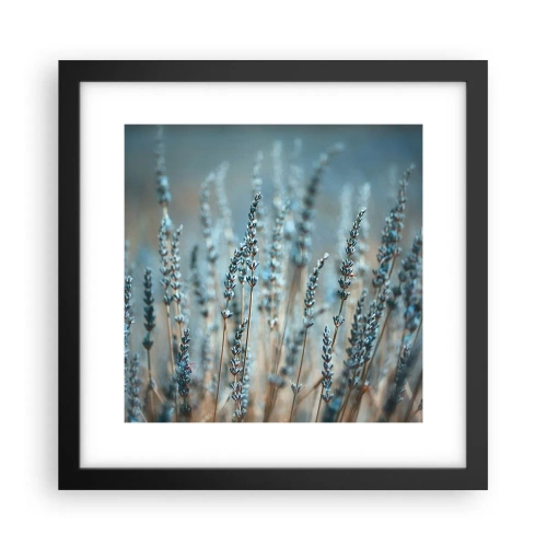Plagát v čiernom ráme - Voňavý lán - 30x30 cm