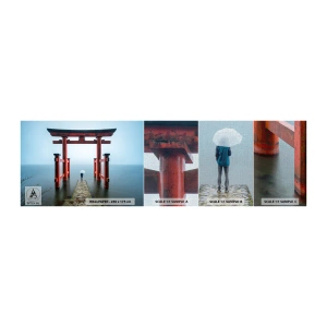Vzorka fototapety Premium Canvas - Japonské zamyslenie - Ázie, Chrám Hakone, Japonsko - 100x30 cm