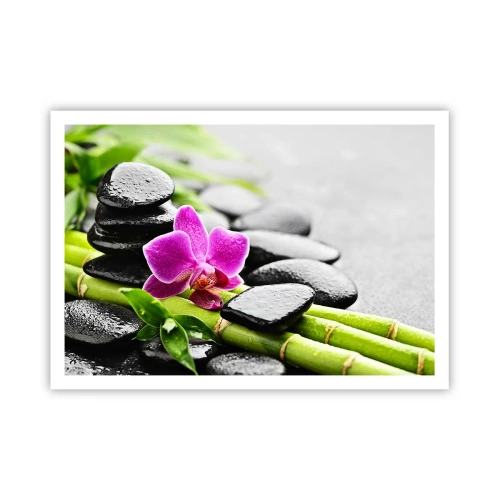 Plagát - V pokojnej rovnováhe - 100x70 cm