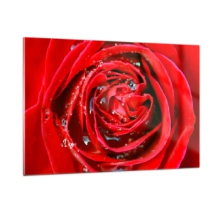 Obraz na skle - V kvapkách rosy - 120x80 cm