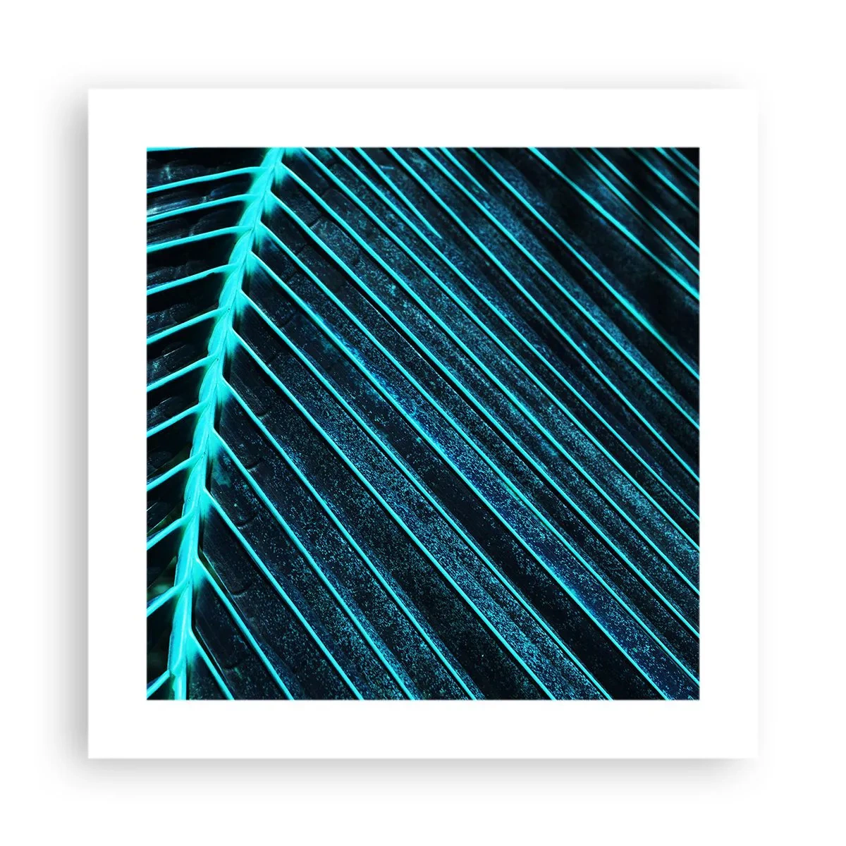Plagát - Textúra zelene - 40x40 cm