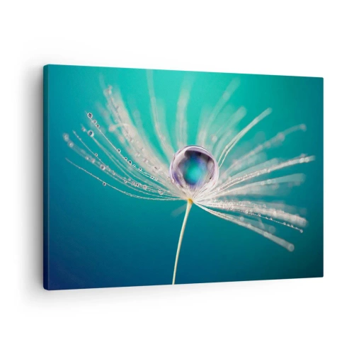 Obraz na plátne - Makro kvapky vody na jemnom semienku púpavy - 70x50cm - Mystický okamih - Moderná nástenná dekorácia do obývacej izby a spálne ARTTOR