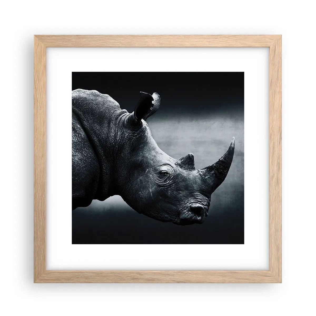 Plagát v ráme zo svetlého duba - Pravý profil - 30x30 cm
