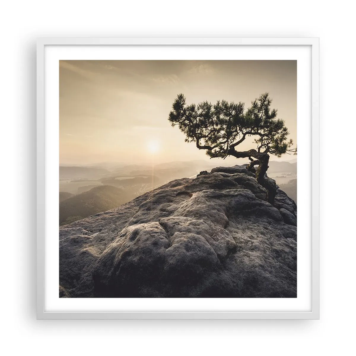 Plagát v bielom ráme - Život vždy víťazí - 60x60 cm