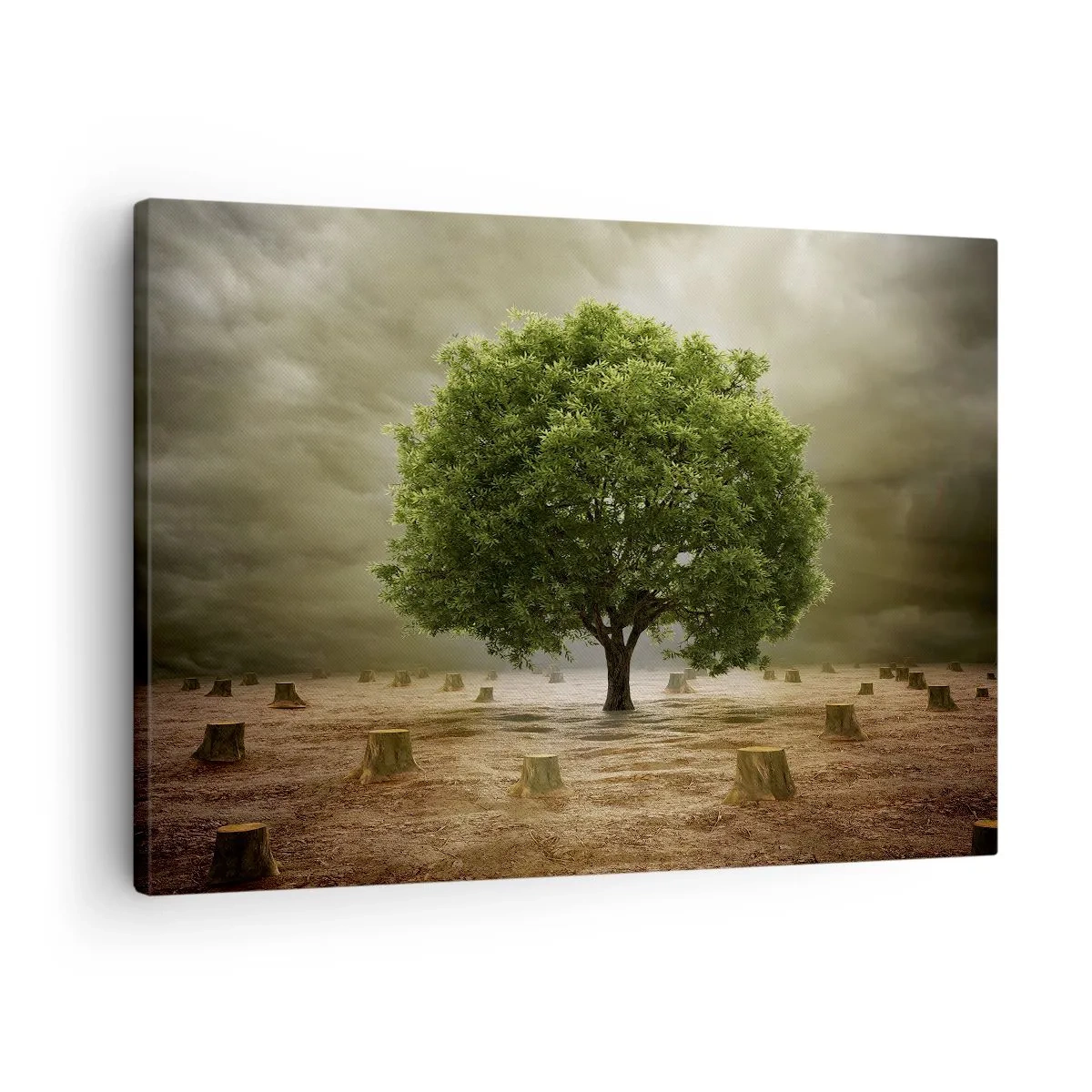 Obraz na plátne - Zelený strom obklopený popadanými kmeňmi stromov na pozadí zamračenej oblohy - 70x50cm - Celá nádej - Moderná nástenná dekorácia do obývacej izby a spálne ARTTOR