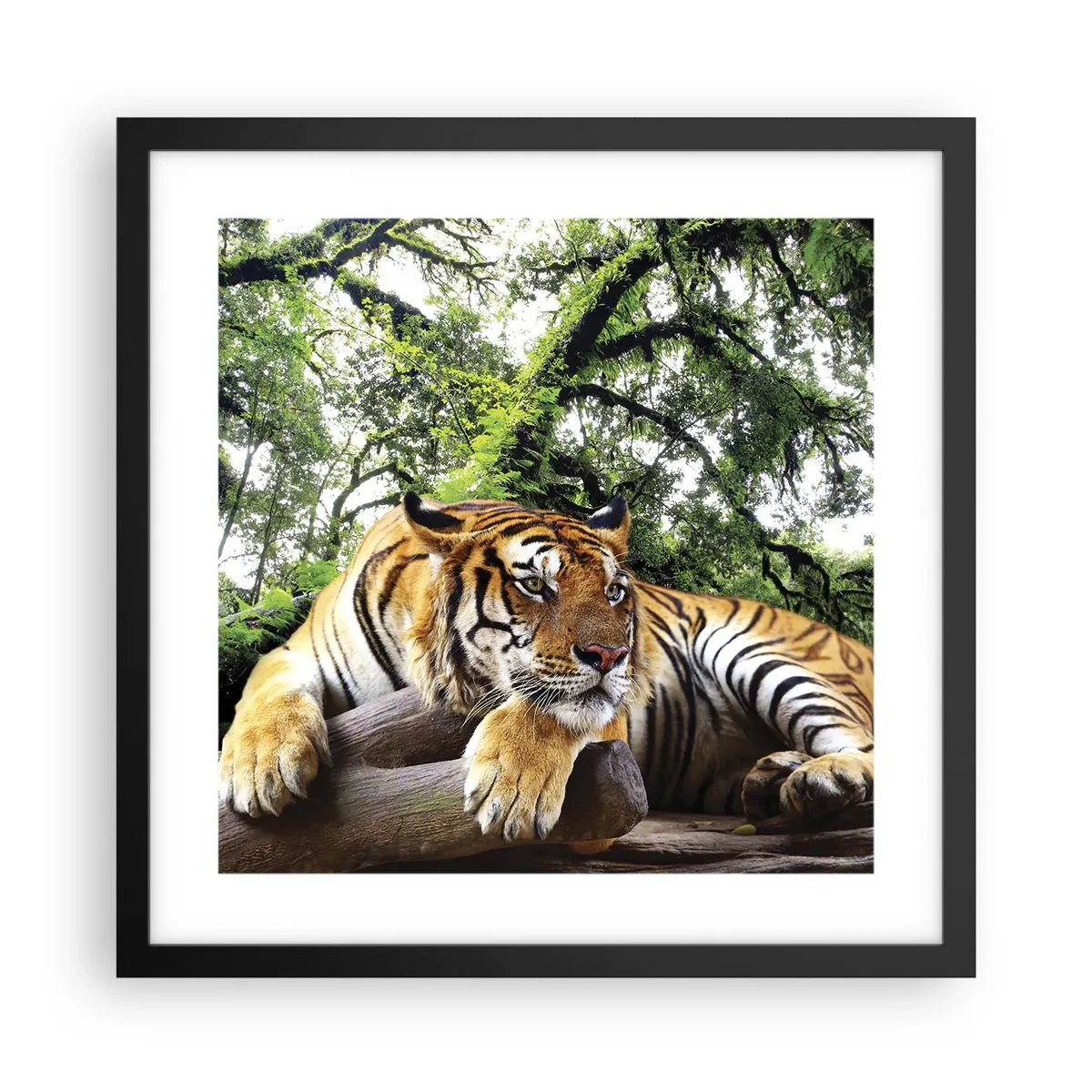 Plagát v čiernom ráme - S úctou - 40x40 cm