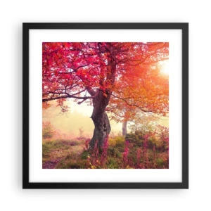 Plagát v čiernom ráme - Šialenstvo rozkvetu - 40x40 cm