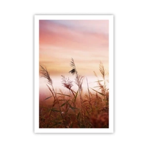 Plagát - Draci, púpavy a vietor - 61x91 cm