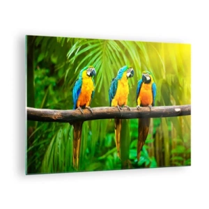 Obraz na skle - Tri papagáje ara na konári v tropickom lese - 70x50cm - Počula si, že ona…? - Moderná nástenná dekorácia do obývacej izby a spálne ARTTOR
