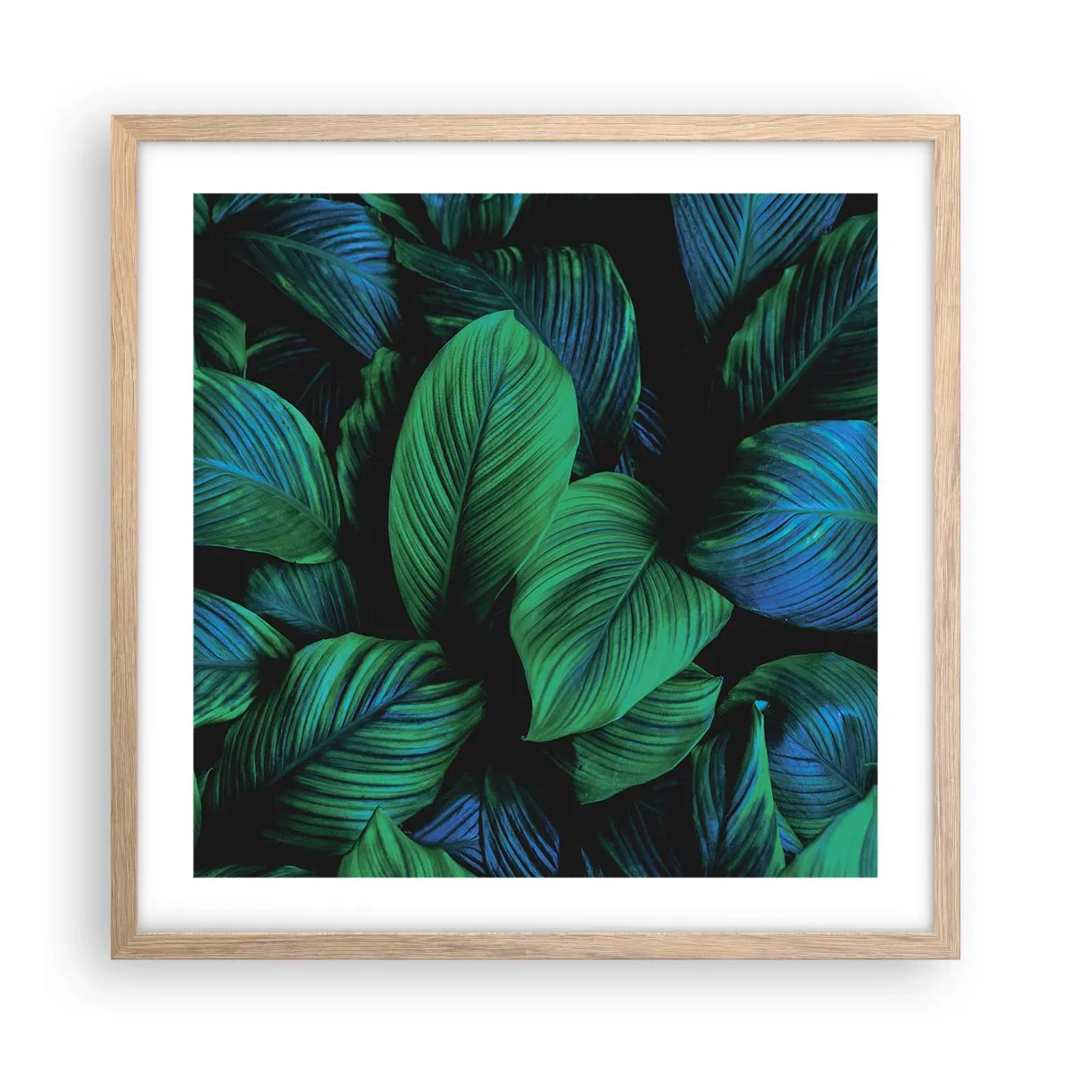 Plagát v ráme zo svetlého duba - V zelenom dave - 50x50 cm