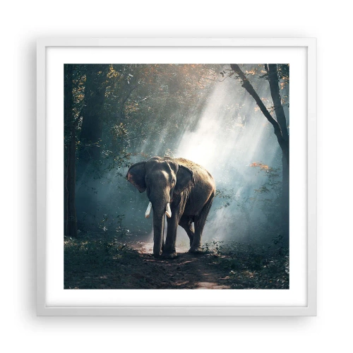 Plagát v bielom ráme - Pokojná prechádzka - 50x50 cm