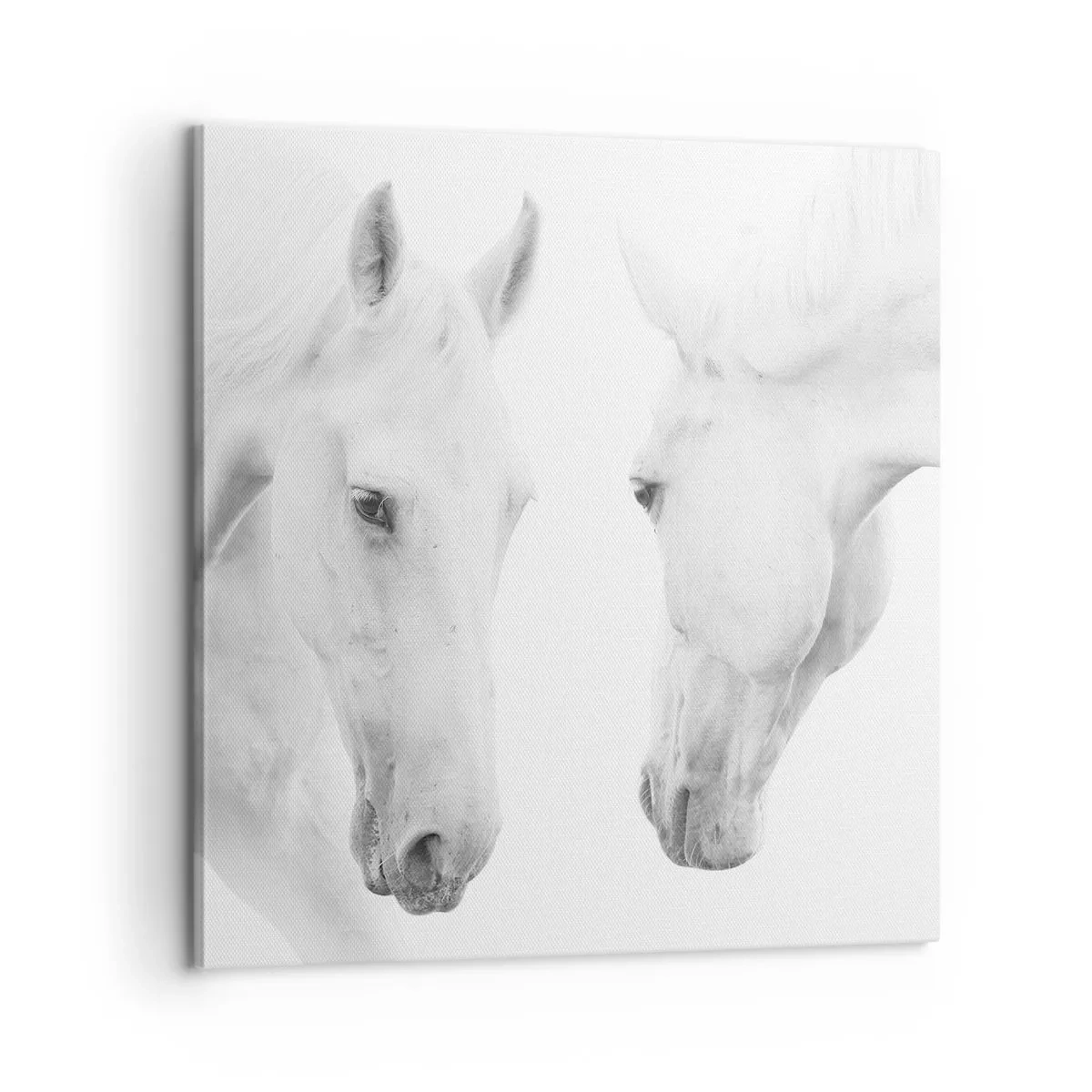 Obraz na plátne - Je to priateľstvo…? - 60x60 cm