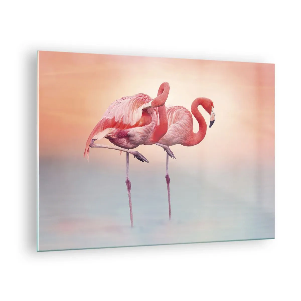 Obraz na skle - Dva plameniaky stojace vo vode s pastelovým pozadím západu slnka - 70x50cm - Vo farbe zapadajúceho slnka - Moderná nástenná dekorácia do obývacej izby a spálne ARTTOR